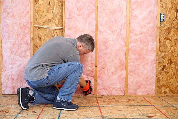 Best Attic Insulation Installation  in Westchester, FL